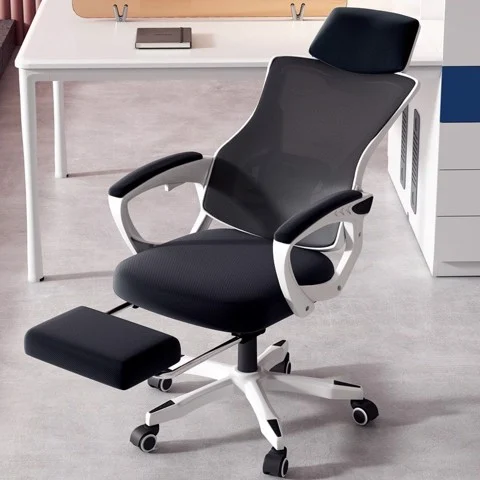 Ghế Công Thái Học Cao Cấp TMS06